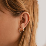 "Zirconia Hoops" Earrings