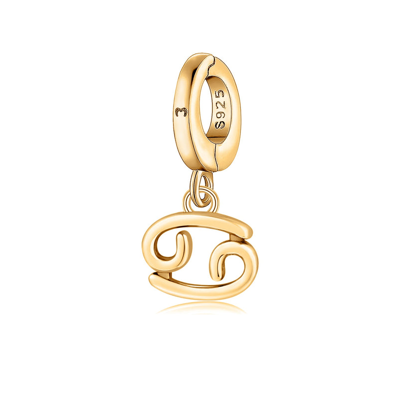 "Astrological" Charm - SophiaJewels