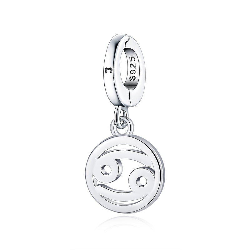 "Zodiac Signs" Charm - SophiaJewels