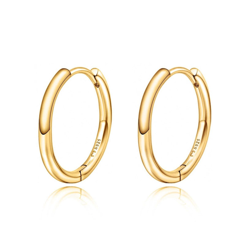 "Classic Hoops" Earrings - SophiaJewels