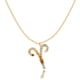 "Zodiac Sings" Necklace - SophiaJewels